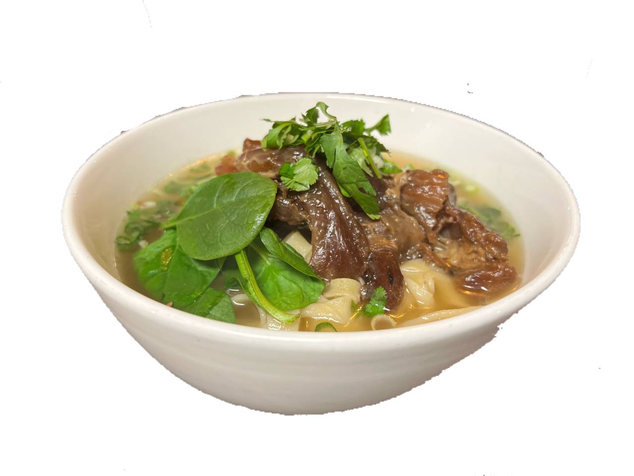 SpicyBeef Tendon Soup Noodle 麻辣牛筋面